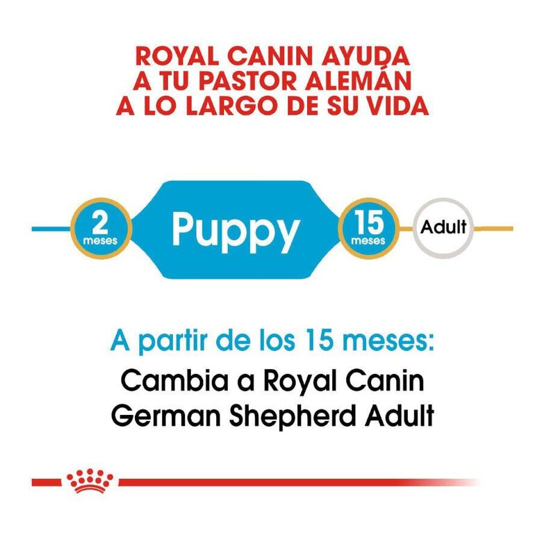 12 kg Royal Canin Puppy Pastor Alemão ração para cães,  Imagem número 7 12 kg Royal Canin Puppy Pastor Alemão ração para cães, , large Imagem número 7