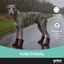 Gotoo Sapatos Vermelhos e Pretos para c&atilde;es, , large Indicador imagem n&uacute;mero 6