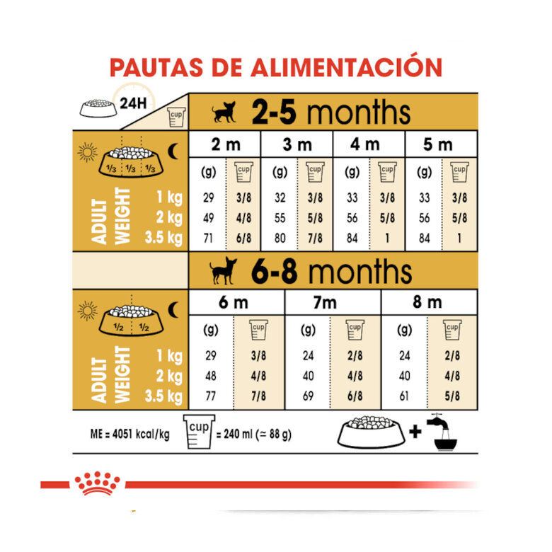 Royal Canin Puppy Chihuahua ração para cães ,  Imagem número 9 Royal Canin Puppy Chihuahua ração para cães , , large Imagem número 9