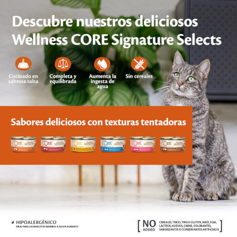 79 g Wellness Core Shredded frango lata para gatos, , large Imagem n&uacute;mero 2