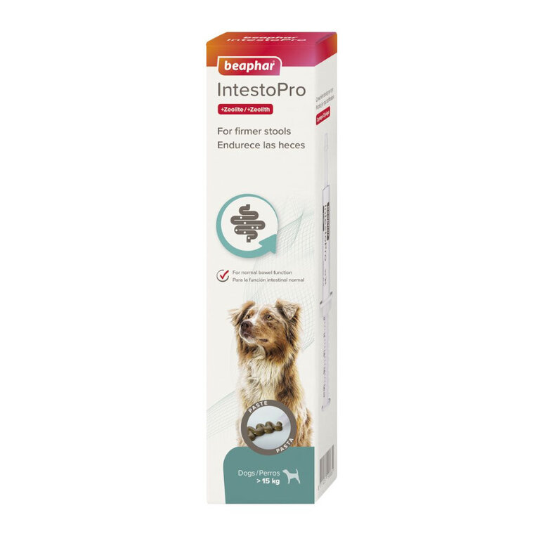 20 ml Beaphar IntestoPro pasta para cães ,  Imagem número 1 20 ml Beaphar IntestoPro pasta para cães , , large Imagem número 1