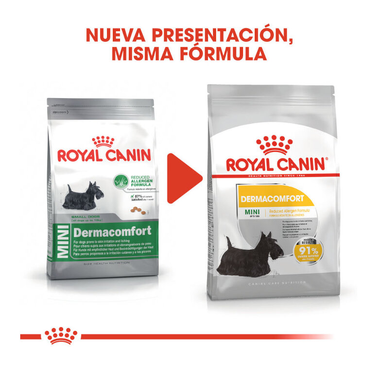 Royal Canin Dermacomfort Mini ração para cães,  Imagem número 3 Royal Canin Dermacomfort Mini ração para cães, , large Imagem número 3
