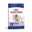 2 x 15 kg Royal Canin Maxi Adult 5+ ração para cães seniores de raça grande Pack poupança!, , large Indicador imagem número 1