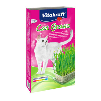 Vitakraft Cat-Grass Catnip