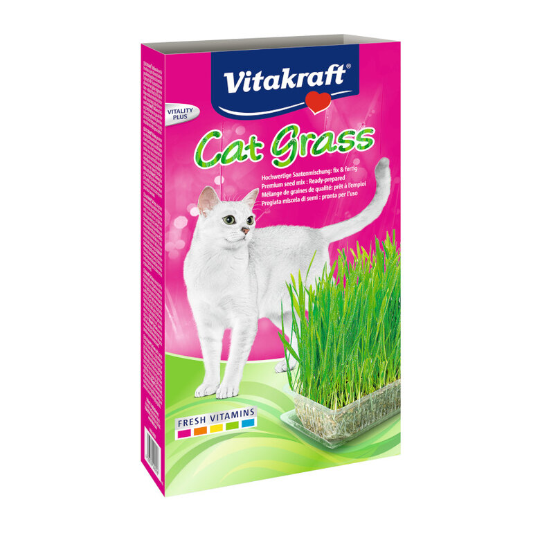 120 g Vitakraft Cat-Grass Catnip,  Imagem número 1 120 g Vitakraft Cat-Grass Catnip, , large Imagem número 1