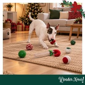Wonder Christmas Bengala Doce Brinquedo para c&atilde;es
