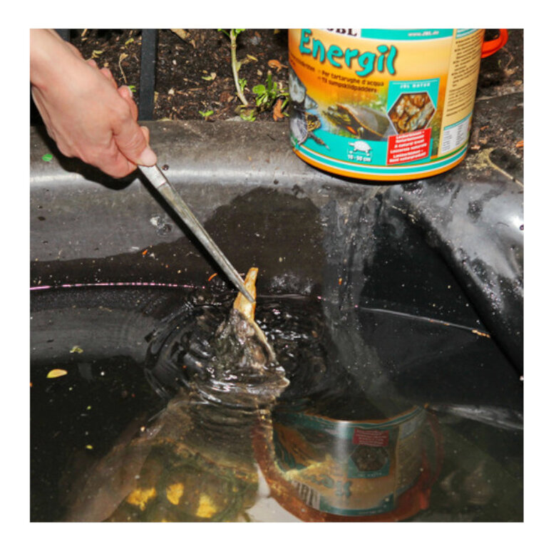 JBL Energil Peixes e Crustáceos Desidratados para Tartarugas,  Imagem número 2 JBL Energil Peixes e Crustáceos Desidratados para Tartarugas, , large Imagem número 2