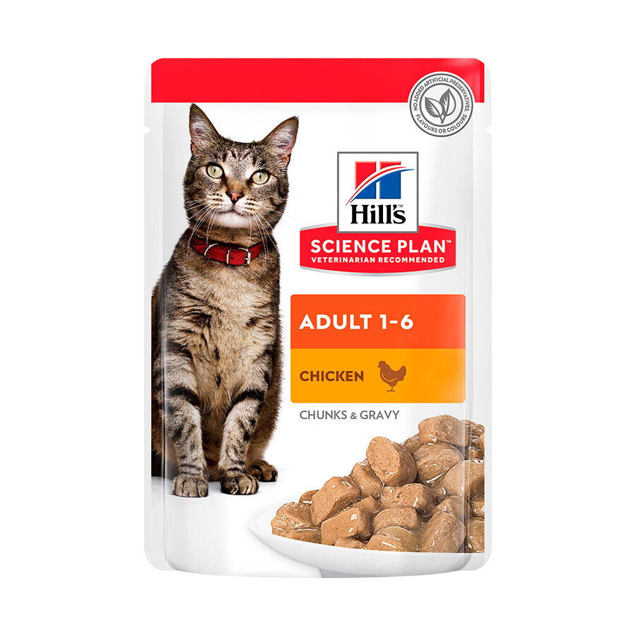 85 g Hill's Science Plan Adult Frango saqueta para gatos, , large Imagem n&uacute;mero 1