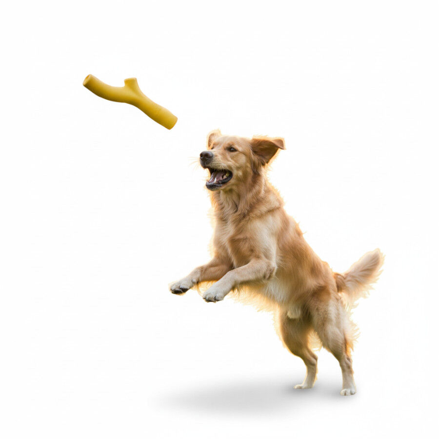 BECO Mordedor pau amarelo para c&atilde;es, , large Imagem n&uacute;mero 6