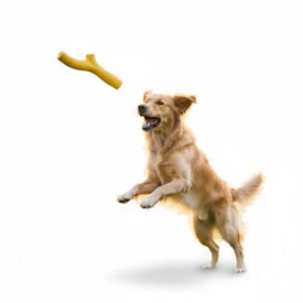 BECO Mordedor pau amarelo para c&atilde;es