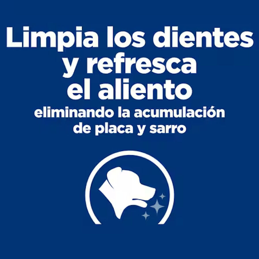 10 kg Hill's Prescription Diet t/d Dental Care Ra&ccedil;&atilde;o de frango para c&atilde;es m&eacute;dios, , large Imagem n&uacute;mero 6