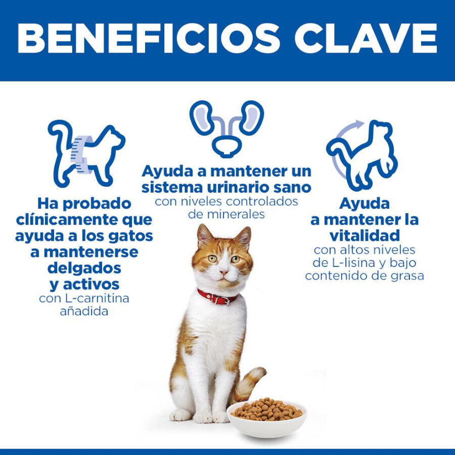 15 kg Hill's Science Plan Sterilised Adult Frango ra&ccedil;&atilde;o para gatos, , large Imagem n&uacute;mero 5