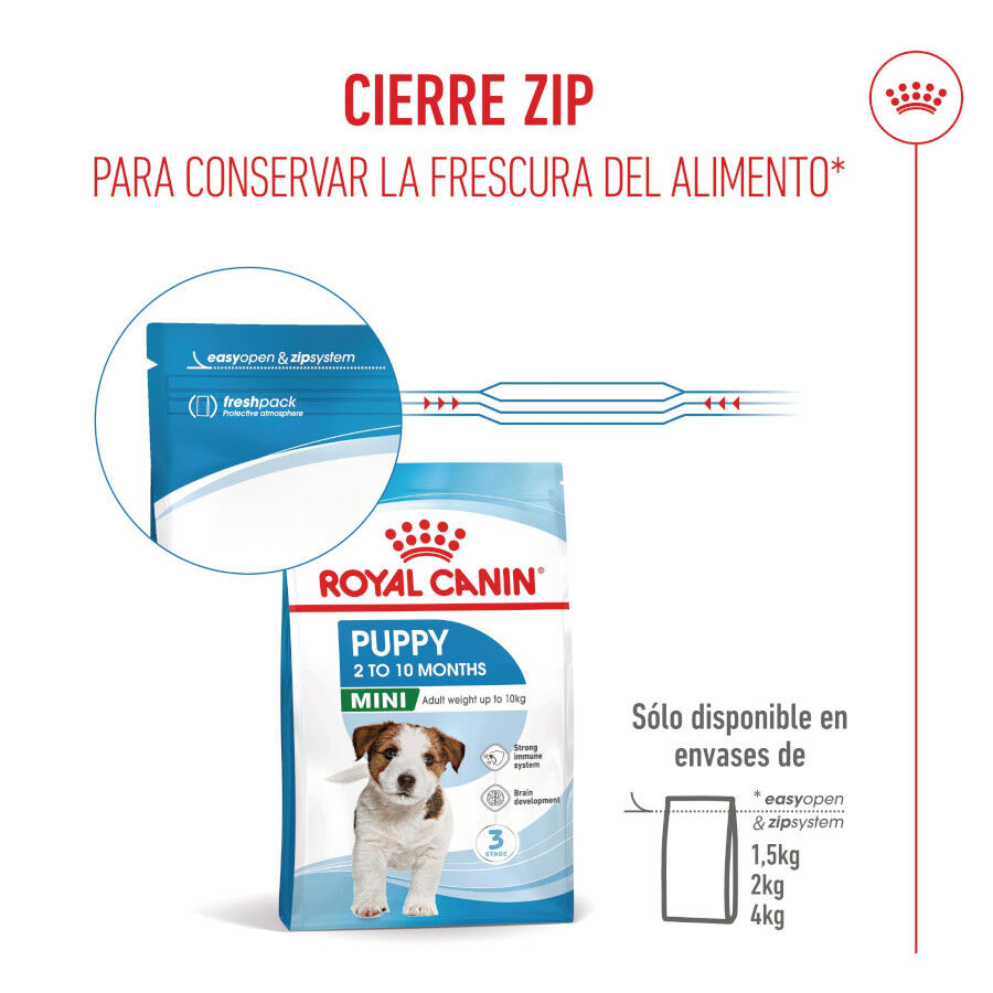 8 kg Royal Canin Mini Puppy ra&ccedil;&atilde;o para c&atilde;es, , large Imagem n&uacute;mero 11
