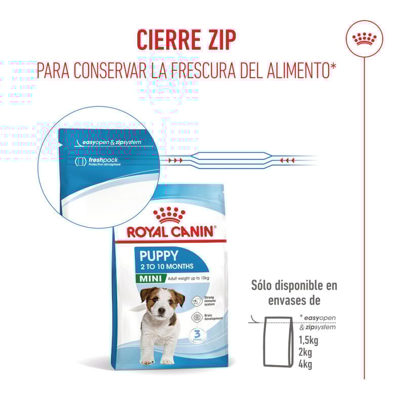 8 kg Royal Canin Mini Puppy ração para cães,  Imagem número 11 8 kg Royal Canin Mini Puppy ração para cães, , large Imagem número 11