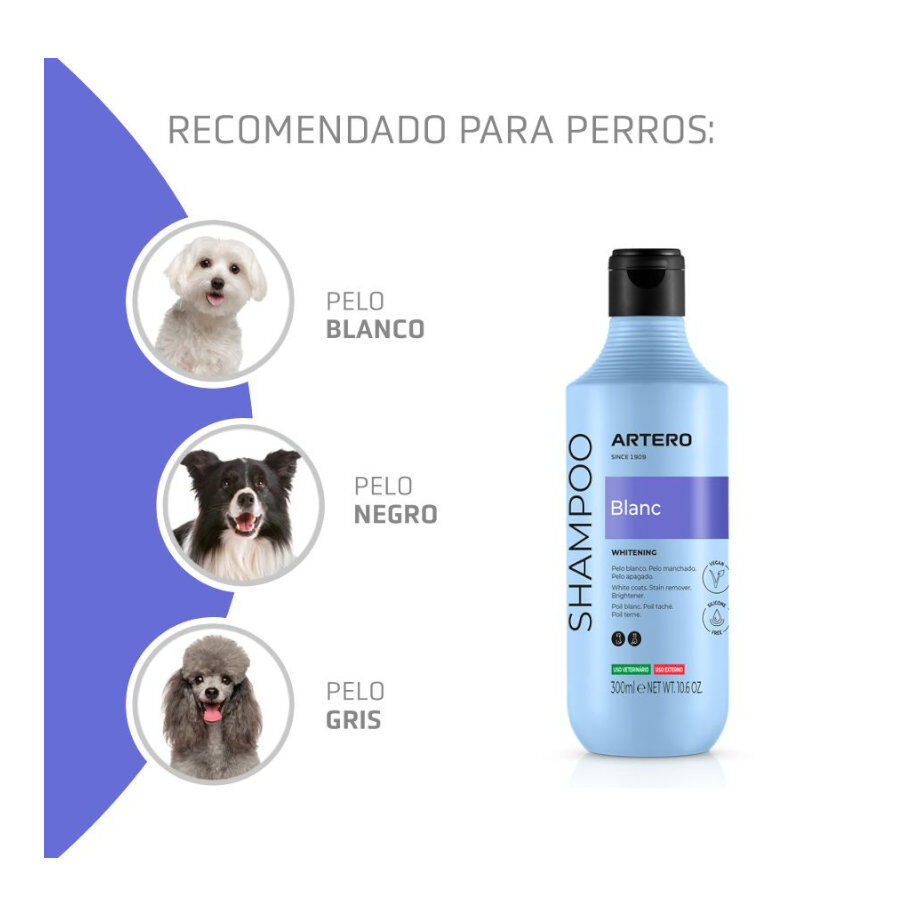 Artero Blanc champ&ocirc; para c&atilde;es e gatos de pelo branco, , large Imagem n&uacute;mero 2