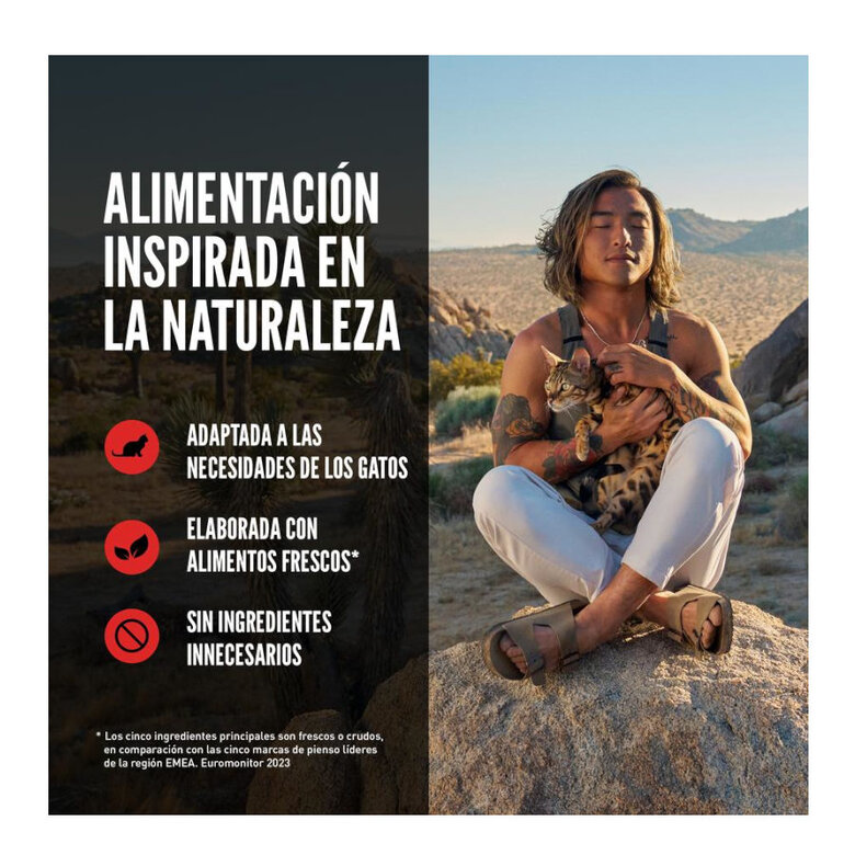 5.4 kg Orijen Original ração para gatos e gatinhos,  Imagem número 10 5.4 kg Orijen Original ração para gatos e gatinhos, , large Imagem número 10