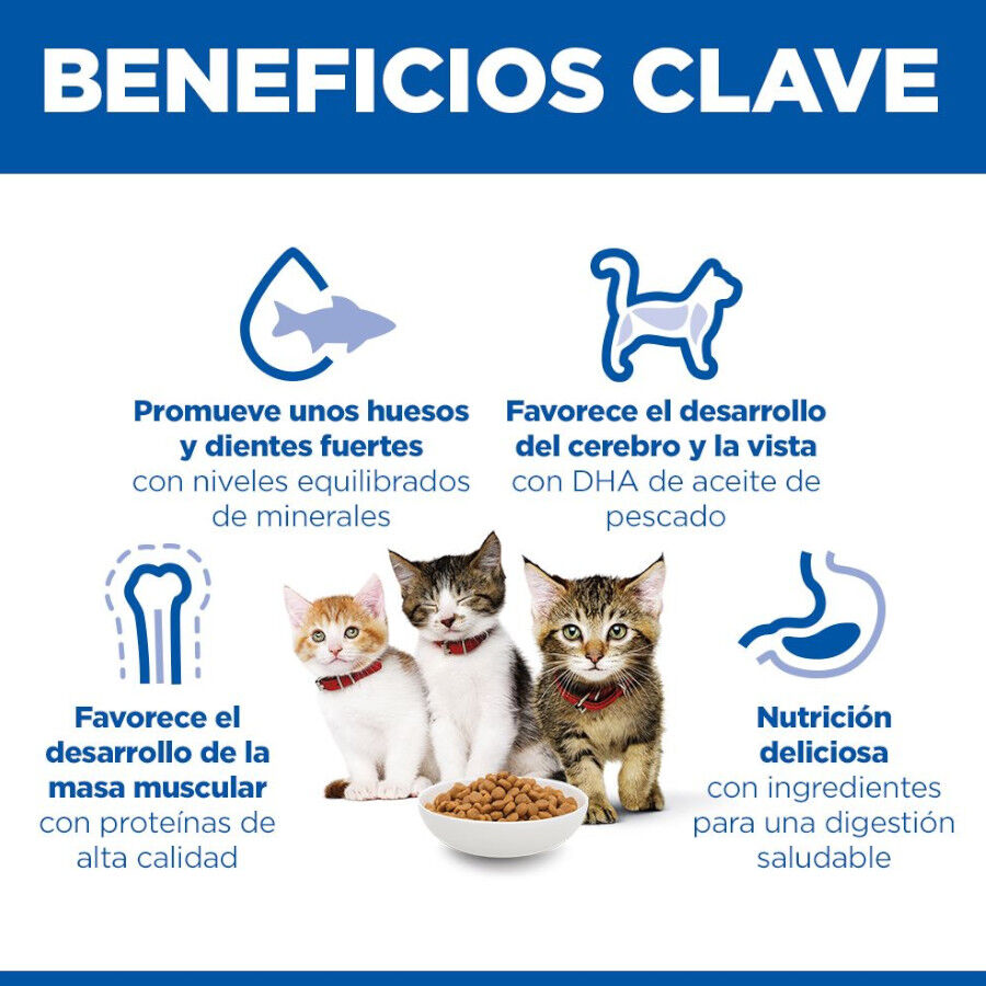 1.5 kg Hill's Kitten  Science Plan Frango ra&ccedil;&atilde;o , , large Imagem n&uacute;mero 4