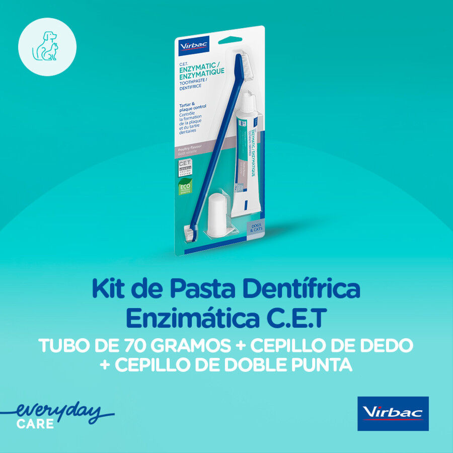 Virbac Kit Dent&iacute;frico Enzim&aacute;tico para c&atilde;es C.E.T, , large Imagem n&uacute;mero 12