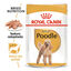 85 g Royal Canin Adult Poodle Patê saqueta para cães, , large Indicador imagem número 1