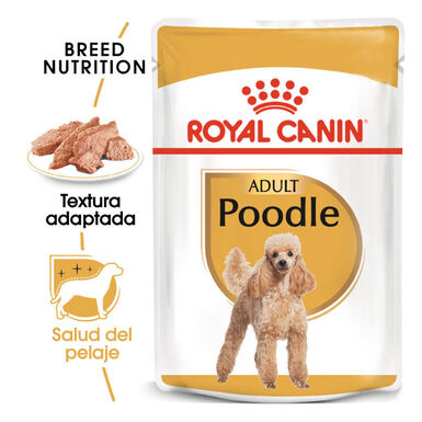 Royal Canin Adult Poodle Patê saqueta para cães