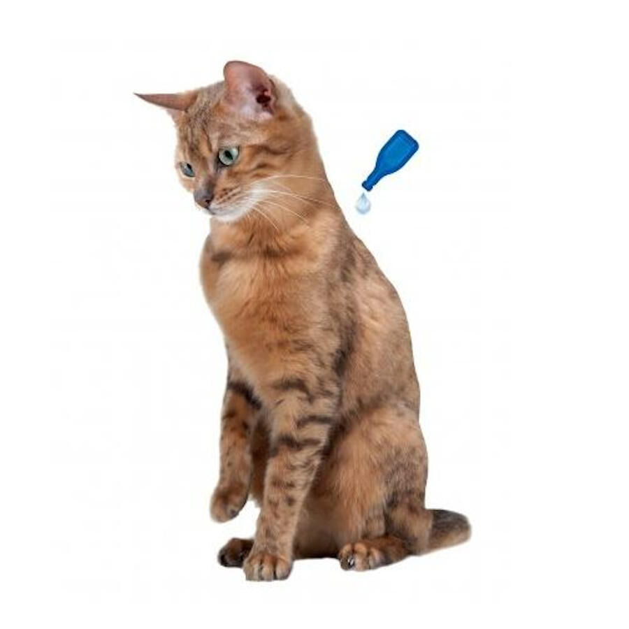 Beaphar Pipetas Relaxantes para gatos, , large Imagem n&uacute;mero 3