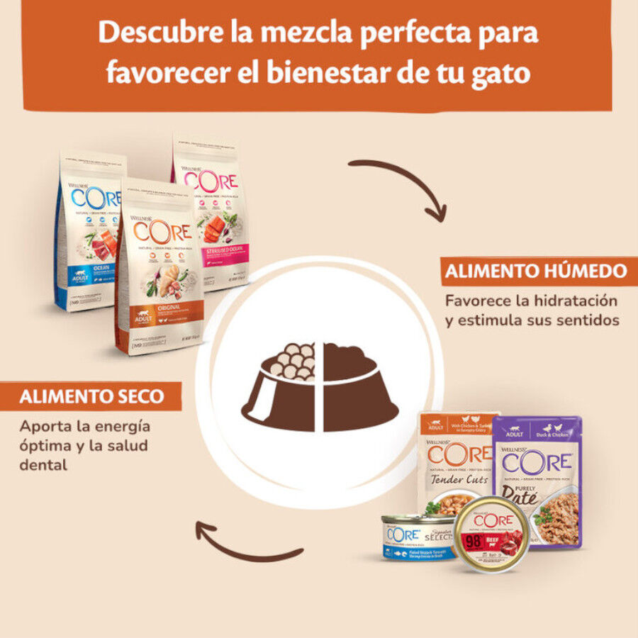 79 g Wellness Core Chunky carne de frango lata para gatos, , large Imagem n&uacute;mero 4