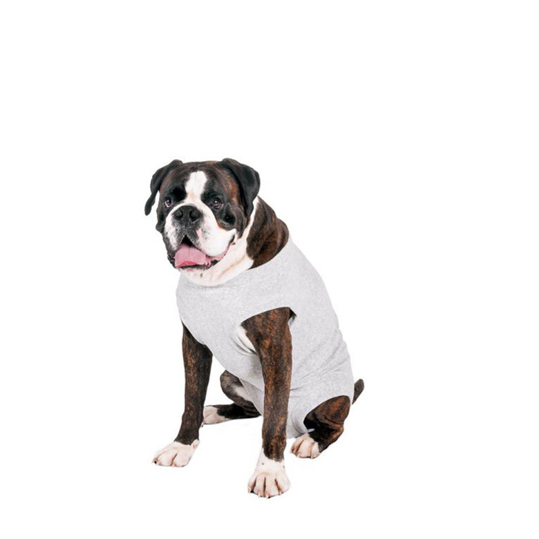 Flamingo body de protección para perros image number null