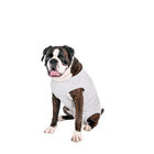 Flamingo body de protección para perros image number null