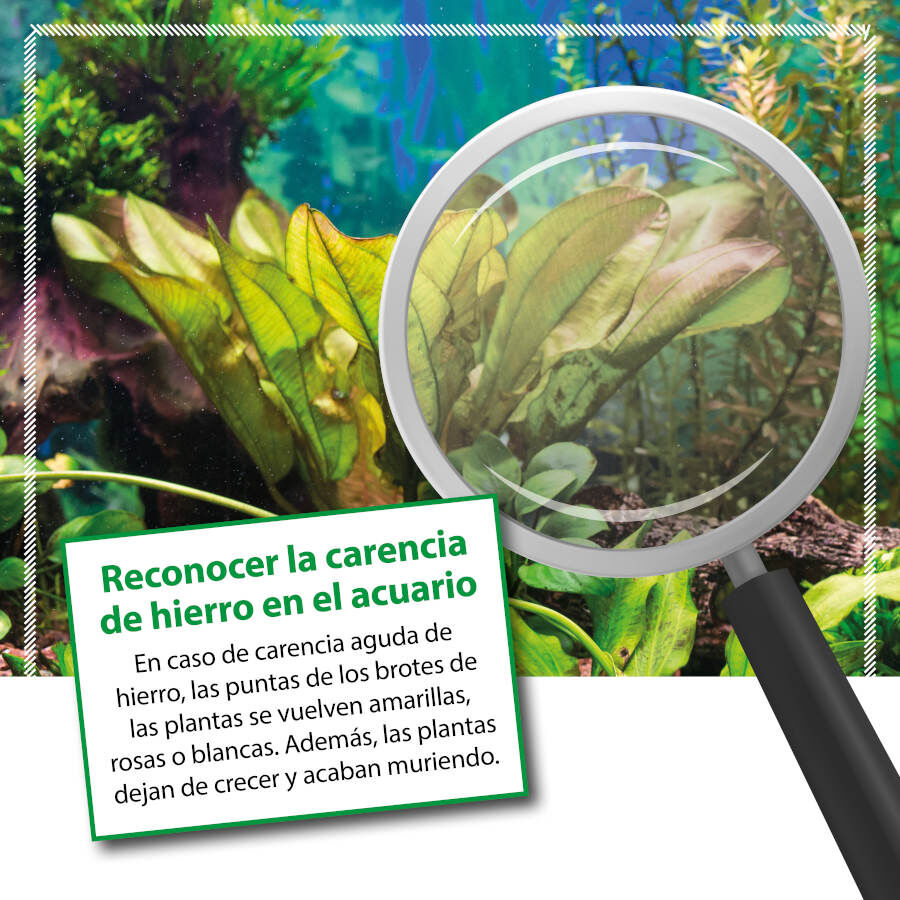 Microbe-Lift Plants FE Fertilizante de ferro para aqu&aacute;rios, , large Imagem n&uacute;mero 3