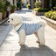 Gotoo Casaco Azul-Claro para c&atilde;es, , large Indicador imagem n&uacute;mero 1