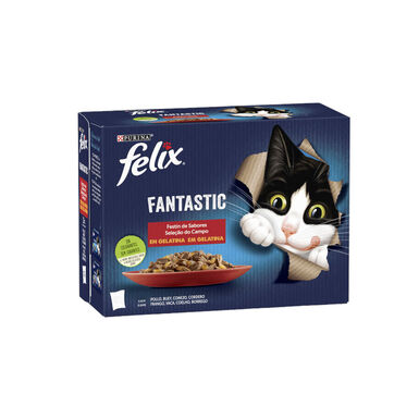 Felix Seleção de carnes em gelatina