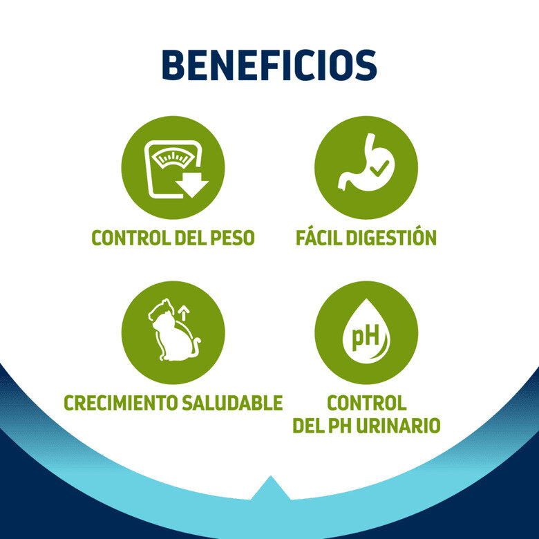 comida_gatos_advance_affinity_junior_sterilized_ADV500823_M_AB24_4 Imagem número 4 Advance Junior Sterilized pienso para gatos3 Imagem número 4