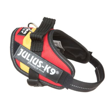 Julius K9 IDC Espanha Peitoral ergonómico para cães