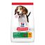 18 kg (15 + 3 kg grátis!) Hill's Science Plan Puppy Medium Frango ração para cães, , large Indicador imagem número 1