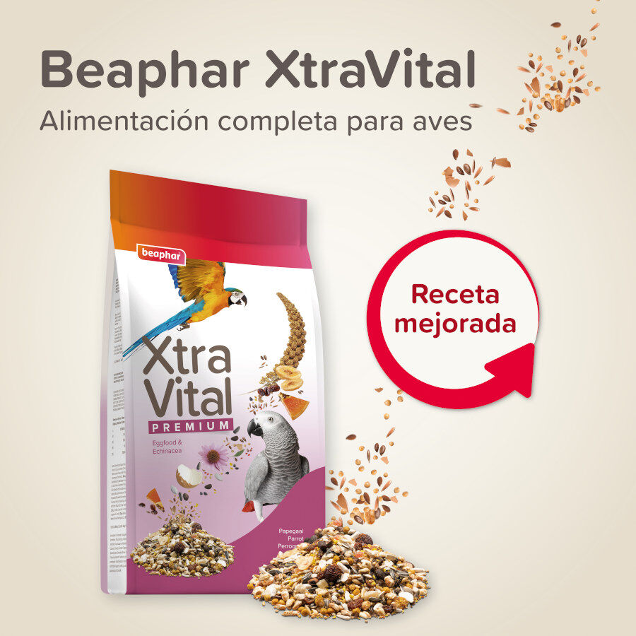 Comida para p&aacute;ssaros Beaphar XtraVital Premium para papagaios, , large Imagem n&uacute;mero 2