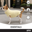Gotoo Camisola Polar Amarela para c&atilde;es, , large Indicador imagem n&uacute;mero 6