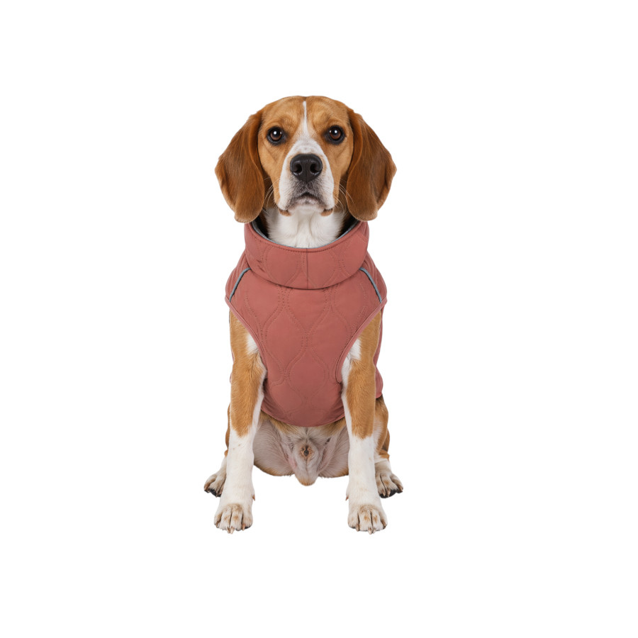 Gotoo Casaco Rosa para c&atilde;es, , large Imagem n&uacute;mero 7