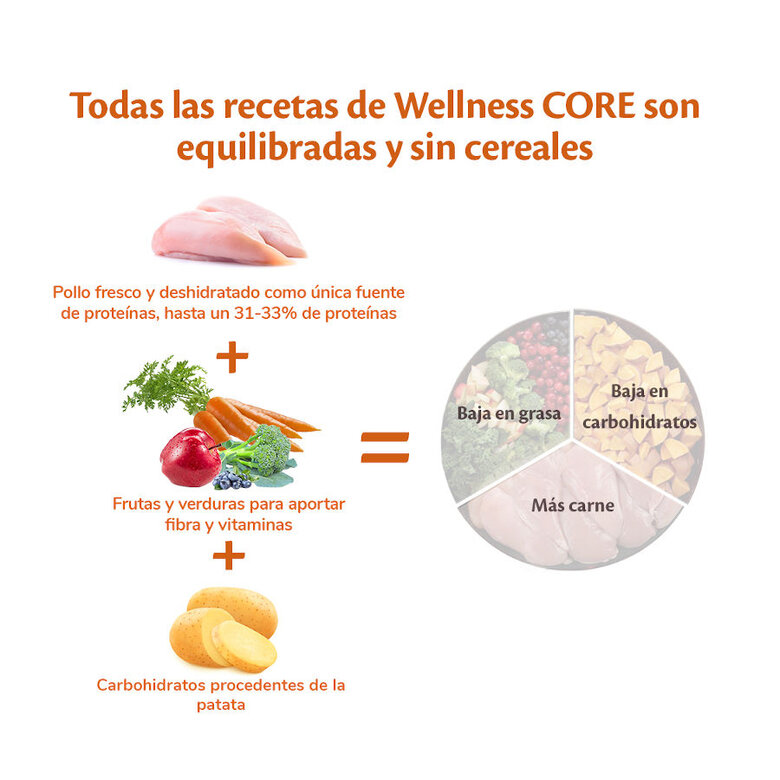10 kg Wellness Core Puppy Large Original Ração de frango para cachorros,  Imagem número 3 10 kg Wellness Core Puppy Large Original Ração de frango para cachorros, , large Imagem número 3