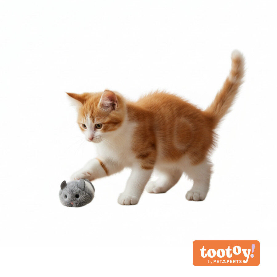 Tootoy! Kitten Ratinho para gatos, , large Imagem n&uacute;mero 9