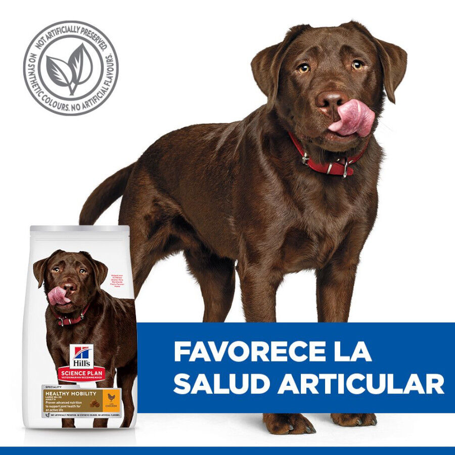 12 kg Hill's Science Plan Healthy Mobility Adult Large Frango ra&ccedil;&atilde;o para c&atilde;es, , large Imagem n&uacute;mero 5