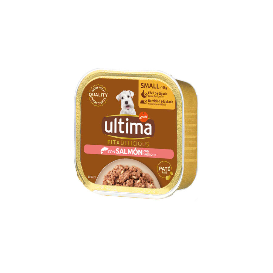 150 gr Ultima Fit & Delicious Mini Salm&oacute;n en Pat&eacute; Tarrina para perros, , large Imagem n&uacute;mero 1