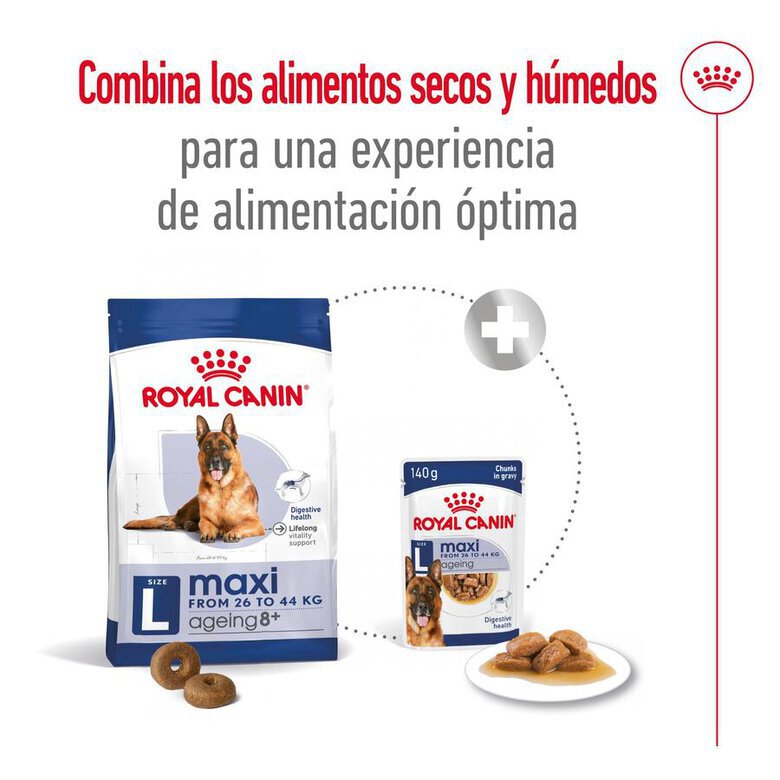 15 kg Royal Canin Maxi Ageing 8+ ração para cães,  Imagem número 9 15 kg Royal Canin Maxi Ageing 8+ ração para cães, , large Imagem número 9