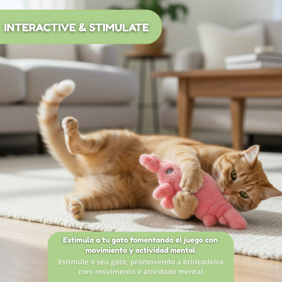 Tootoy! Interactive & Stimulate Brinquedo Lagosta Interativa para gatos, , large Imagem n&uacute;mero 5