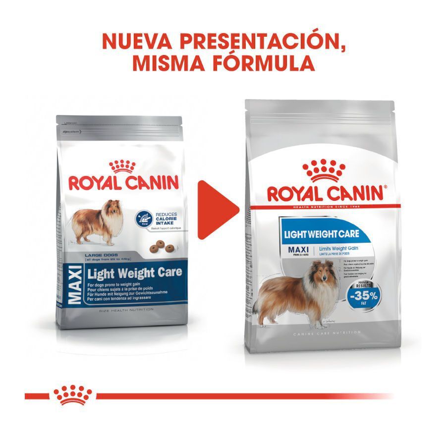 12 kg Royal Canin Maxi Light Weight Care ra&ccedil;&atilde;o para c&atilde;es, , large Imagem n&uacute;mero 3