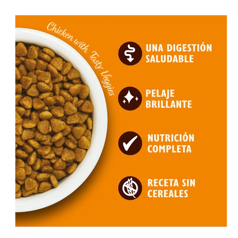 4 kg Lily's Kitchen Grain Free Frango ração para gatos,  Imagem número 3 4 kg Lily's Kitchen Grain Free Frango ração para gatos, , large Imagem número 3