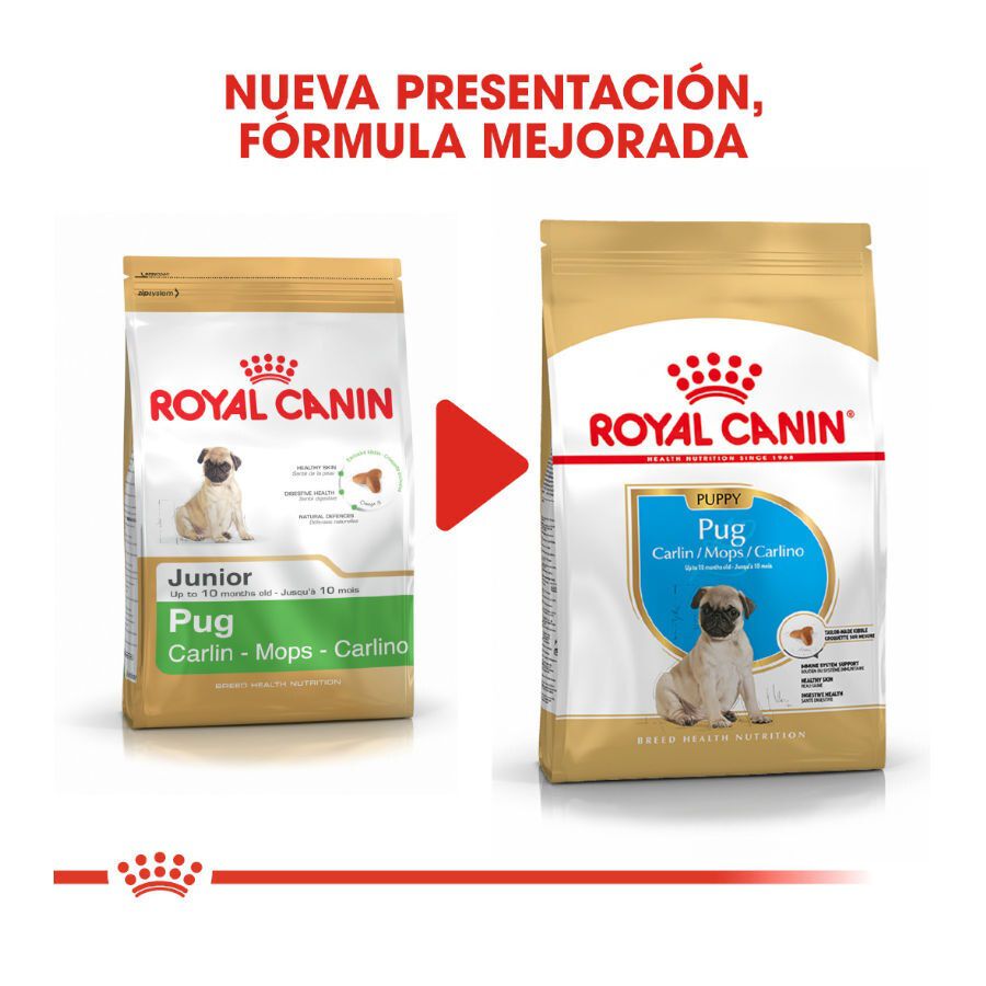1.5 kg Royal Canin Puppy Pug ra&ccedil;&atilde;o para c&atilde;es, , large Imagem n&uacute;mero 3