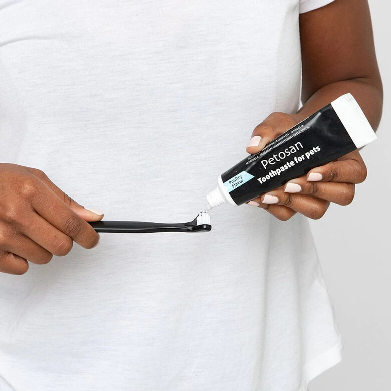 Petosan Kit de limpeza dentária para cães médios,  Imagem número 6 Petosan Kit de limpeza dentária para cães médios, , large Imagem número 6