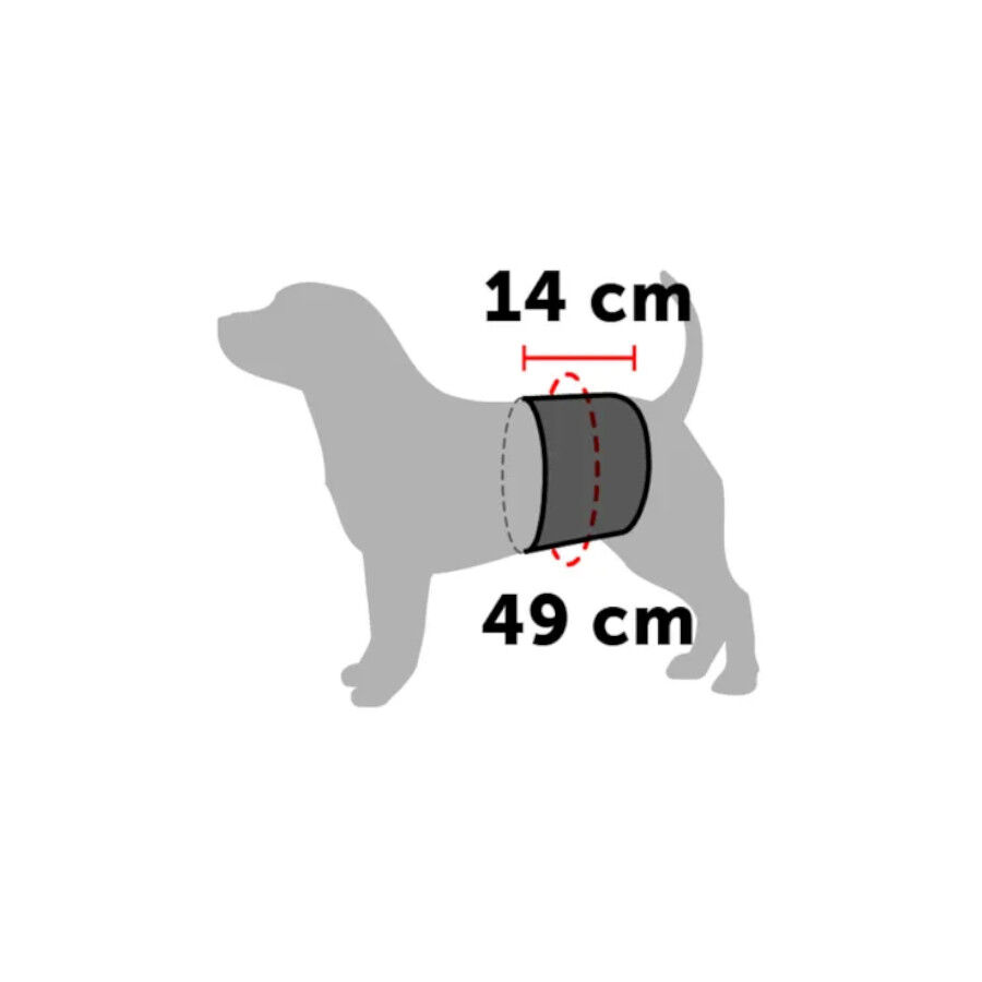 Flamingo fralda lav&aacute;vel para c&atilde;es machos, , large Imagem n&uacute;mero 4