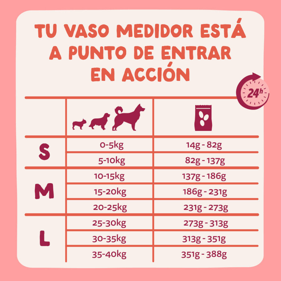 12 kg Edgard & Cooper Senior Salm&atilde;o da Noruega e Frango ra&ccedil;&atilde;o para c&atilde;es, , large Imagem n&uacute;mero 7