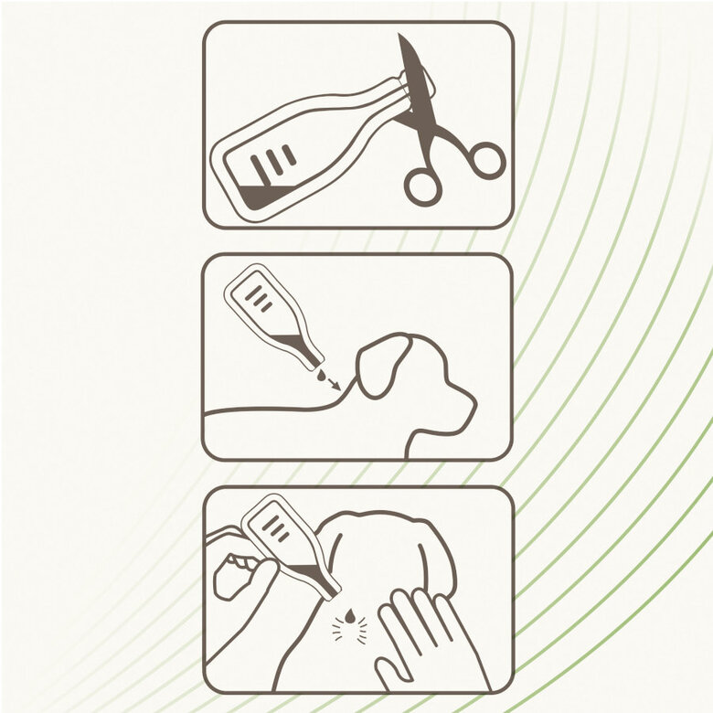 Beaphar Pipetas Repelentes para cães,  Imagem número 5 Beaphar Pipetas Repelentes para cães, , large Imagem número 5